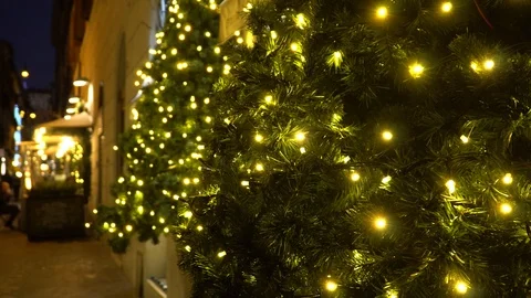 View of Christmas tree Stock Footage 86285957