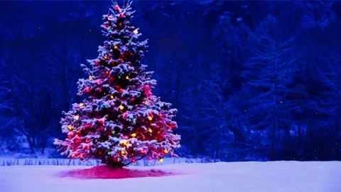 The view of the Christmas tree Stock Footage 233168982