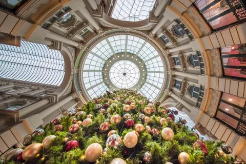Up view of a Christmas tree Stock-Fotos
