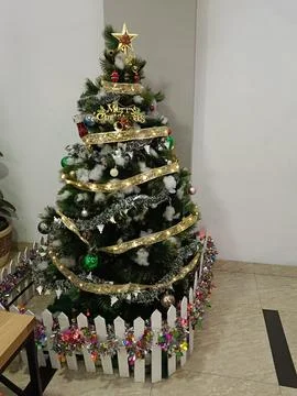 View of Christmas tree Stock Photos