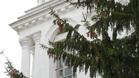 View of Church through pine tree branches. Russia. Blue sky with grey cloud Stock Footage 161071819
