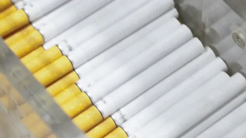 View of cigarettes on the conveyor Stock Footage 169451652