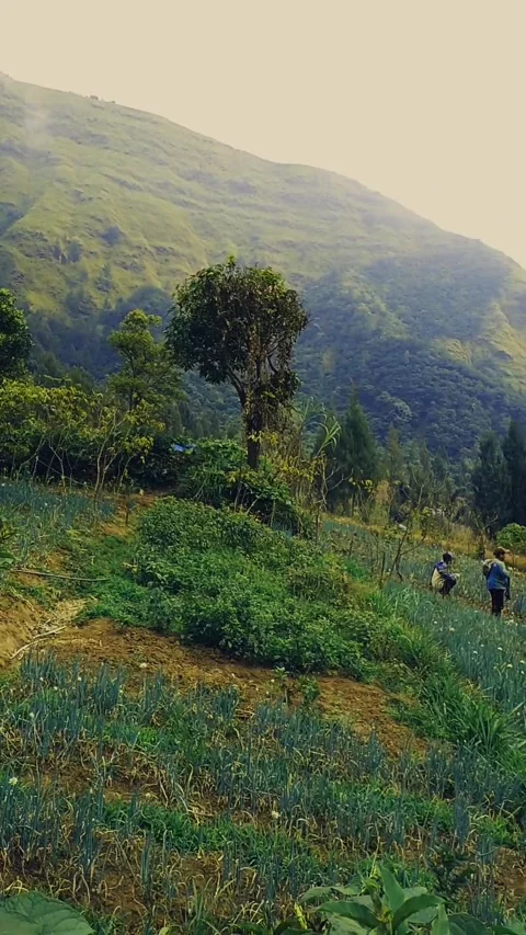 View cinematic bromo Stock Footage 211900133