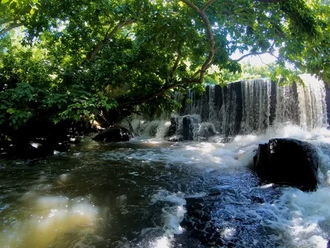 View of Citron Waterfall (Cascade Citron) Video stock 104314307