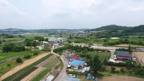 View from the city, drone shot Video stock 310079519