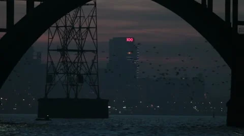 View of the city Stock Footage 10839373