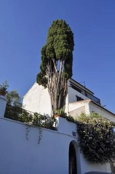 View of the city of Granada Stock Photos
