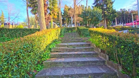 A view of a city from a hill Stock Footage 273001733