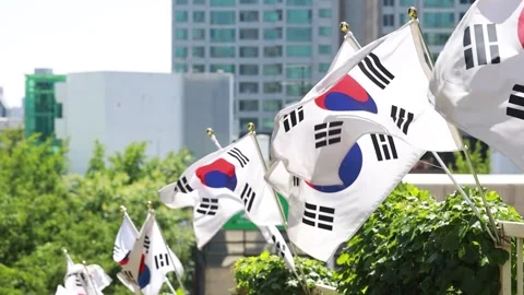 View of the city with Korean flag Stock-Footage 303550987