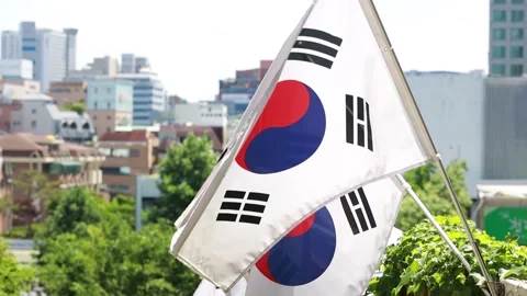 View of the city with Korean flag Video stock 303550994