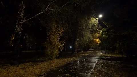 View of the city park after the rain illumination leaves Stock Footage 289245478