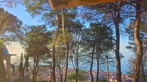 A view of the city from a park Stock Footage 273000104