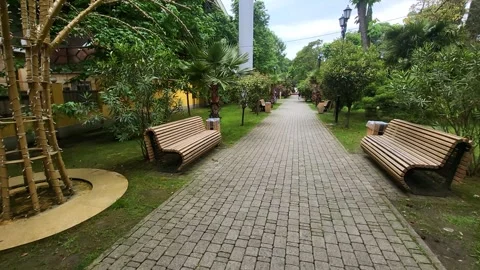 View of the city park Stock Footage 311030404