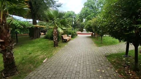 View of the city park Stock Footage 311030424