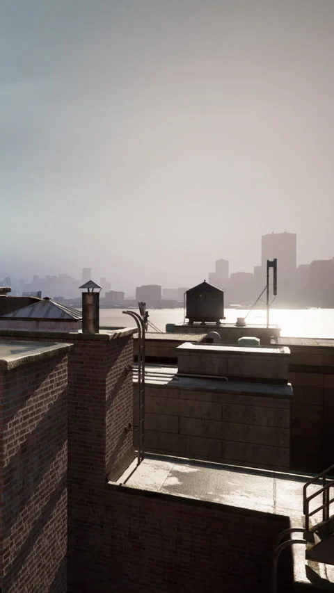 View of city skyline from rooftop during sunset with water in foreground Stock Footage 342183837