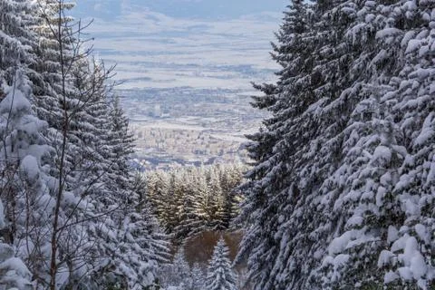 View of the city of Sofia from the mountain Vitosha. Stock Photos