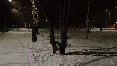 View of the city square after a snowfall luminescence of trees twilight Stock Footage 228736283
