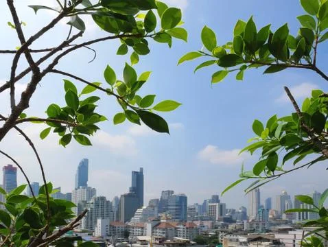 View of Cityscape Through Small Trees on Foreground Stock Photos