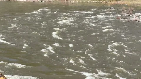 View of the Clark Fork River in western Montana Stock Footage 146146108