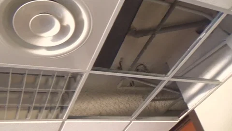 View of a classroom ceiling to be repaired Vídeos de archivo 73460542