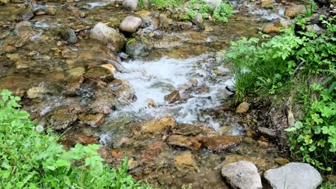View of a clean mountain river calmly flowing down. Stock Footage 248594786