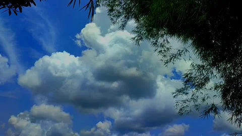 View of a clear blue sky Stock Footage 343196476