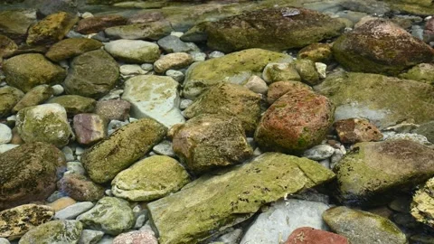 View into a clear mountain stream filled with multicolored boulders. Stock Footage 150457608