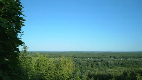 A view of the clear sky, a beautiful river and a green fores Stock Footage 158443729