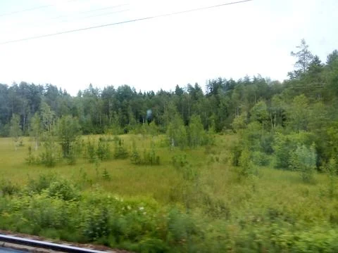 View of the clearing from the train window Stock-Fotos