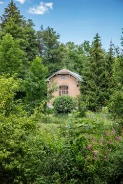 View of the clearing, trees an building in the background Stock Photos
