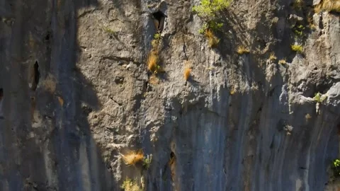 View of the cliff at the edge of the mountain Stock Footage 241515664