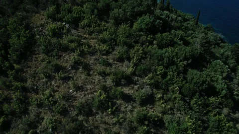 View of a cliff full of cypress trees on the Mediterranean coast by a turquoise Stock Footage 117905005