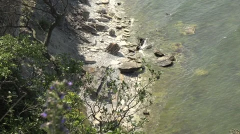 View from a cliff on Gotland Stock Footage 47926000
