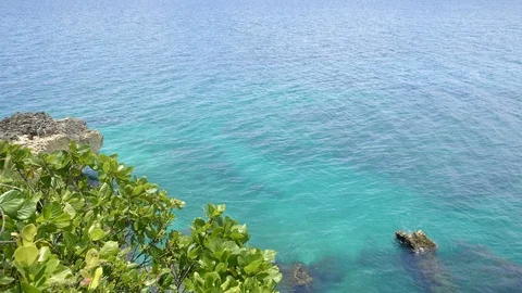 View from a cliff with green tree on a beautiful beach with rock Stock Footage 114988443
