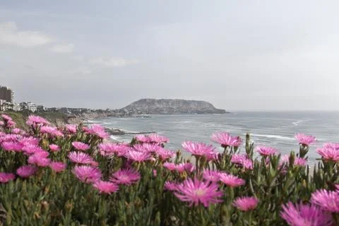 View from the cliff in Lima. One side with buildings and hotels, the other side  Stock Photos