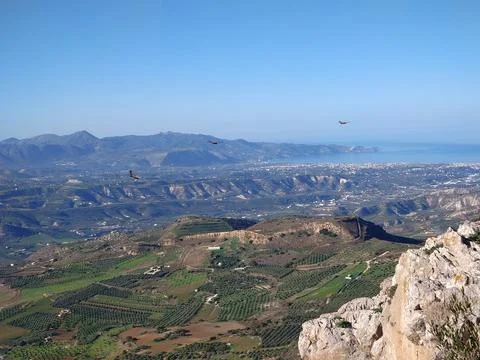 A view from the cliff with olive valley Stock Photos