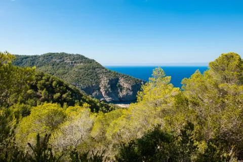 View from a cliff Stock Photos