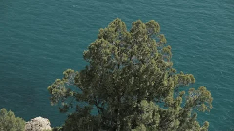 View from the cliffs to the sea. Video stock 22157104