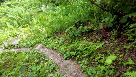 A view of climbing a mountain with a river full of water. Видео 159042513