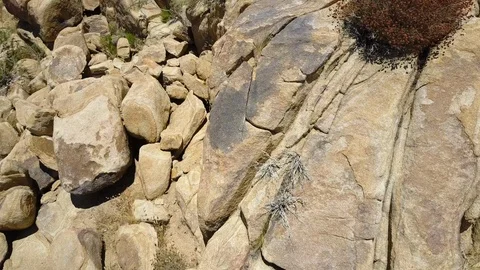 View Climbing over desert Rocks in the Morongo Basin High Desert. California. Stock Footage 116984882
