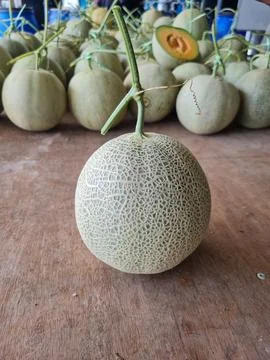 View close up fruit rockmelon Stock Photos