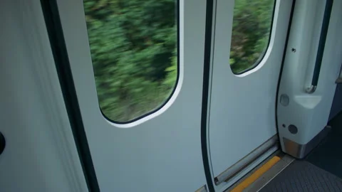 View of closed train doors with motion blur outside. Stock Footage 319724330