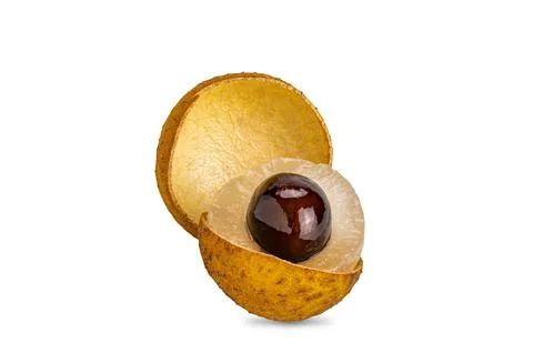 View of closeup single cutting open longan with peel, translucent pulp and bl Stock Photos