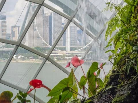 View from Cloud Forest - Singapore Stock Photos