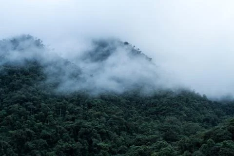 View on cloud rain forest in Peru, jungle in tropical region, travel adventur Stock Photos