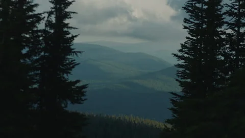 View of Clouds and Forest Valley Through Trees - Mt Hood Oregon Stock Footage 232162121