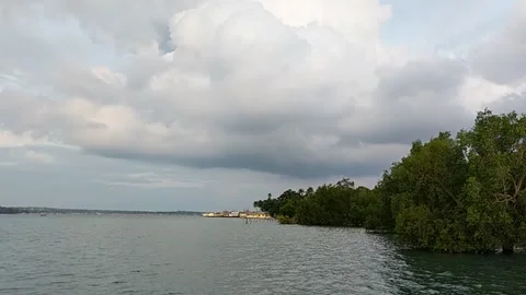 View of the clouds and sea above the mangrove beach Stock Footage 220595342