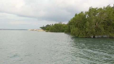 View of the clouds and sea above the mangrove beach Stock Footage 220595966