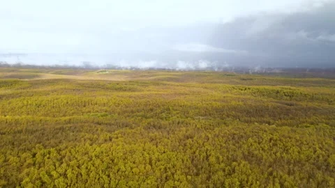 View of clouds forming over the forest. Aerial view of forest densely covered Stock Footage 252686545