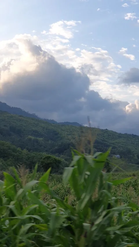 View of clouds, mountains and plantations Video stock 301664470